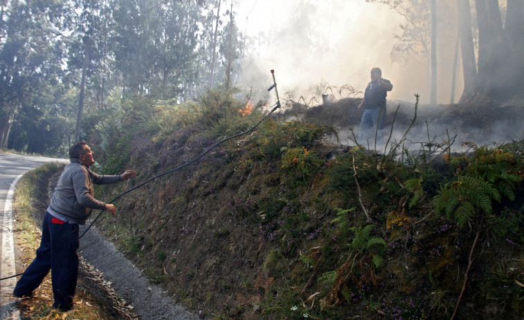 El Concello de Vilagarcía convoca las ayudas para reforestación de montes y prevención de incendios