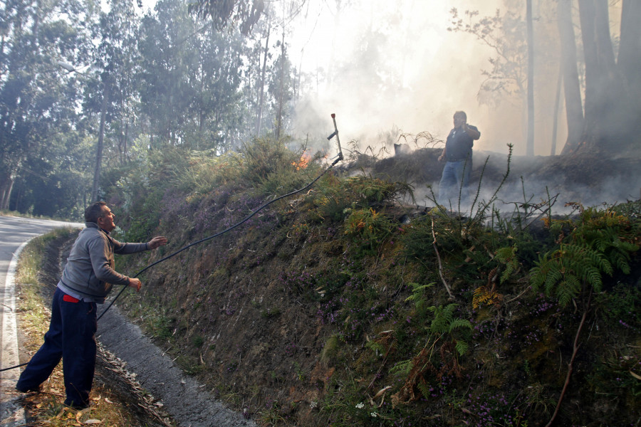 El Concello de Vilagarcía convoca las ayudas para reforestación de montes y prevención de incendios