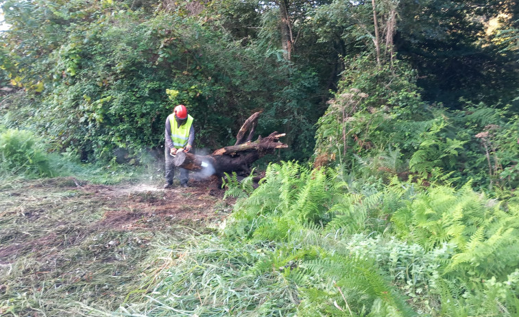 La Xunta ejecuta la limpieza en los tramos urbanos de tres ríos de Valga