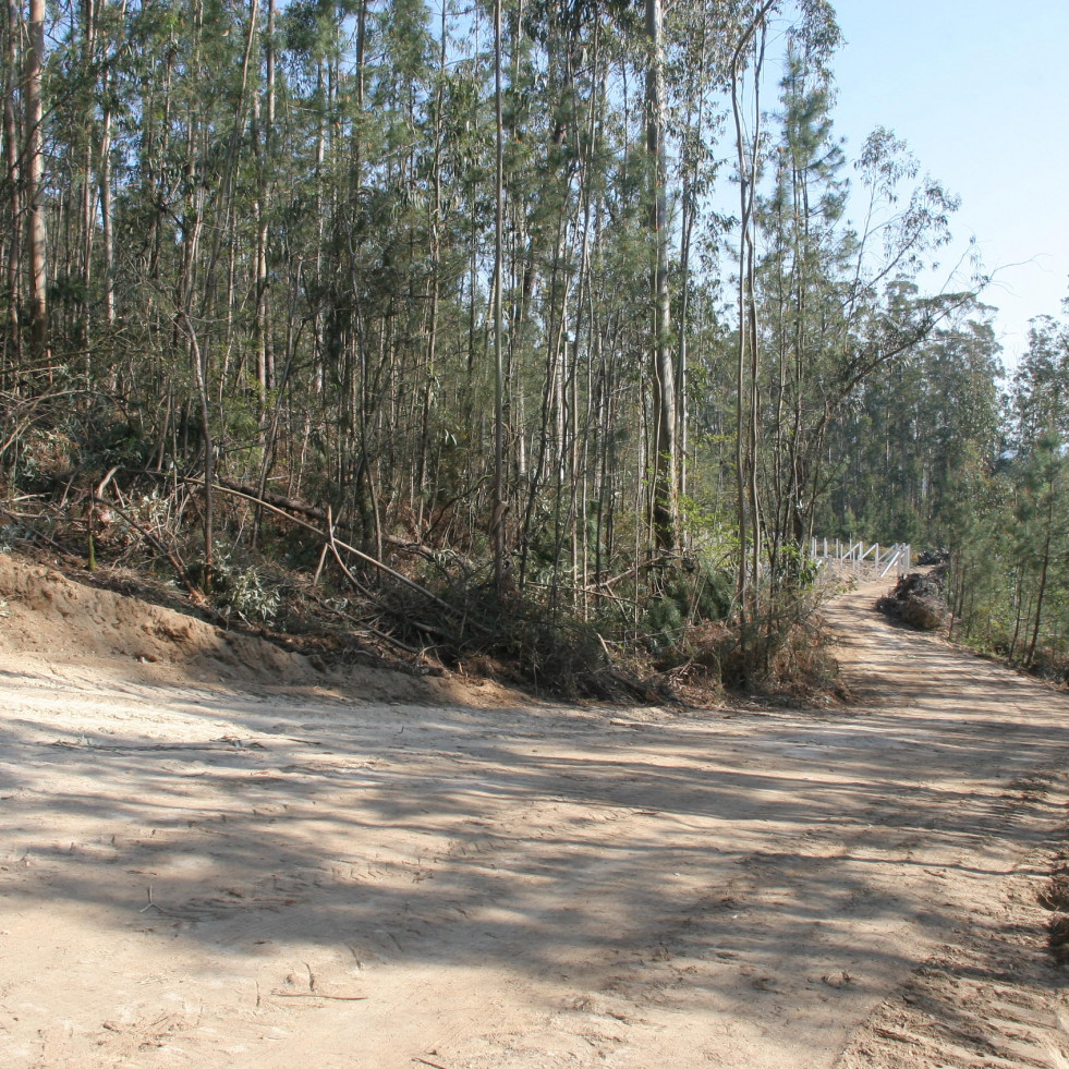Medio Rural creará más de cinco kilómetros de nuevos caminos en la parcelaria de Oubiña y Tremoedo