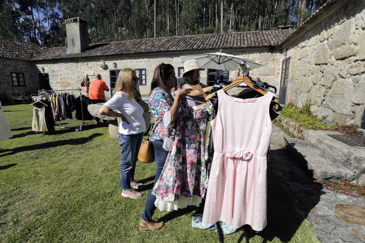 Mercadillo pazo la saleta árbol Metasequoia Glyptostroboides peligro extinción