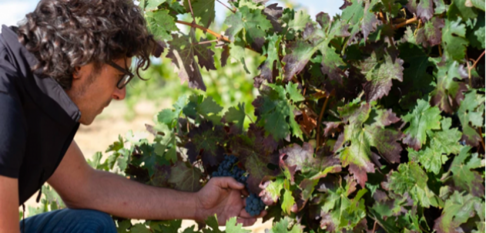 Bodega Viñas del Cénit presenta Field Blend: consulta aquí el especial Gastro Ideal