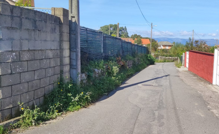 El PP denuncia que en A Lagoa los vecinos van por la carretera porque la maleza invade las aceras