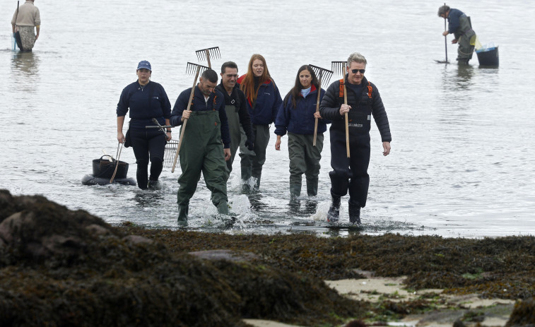Estreno | Las “clam hunters” de Cambados ya salen en la tele con Gordon Ramsay