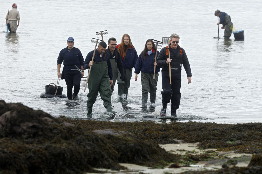Estreno | Las “clam hunters” de Cambados ya salen en la tele con Gordon Ramsay