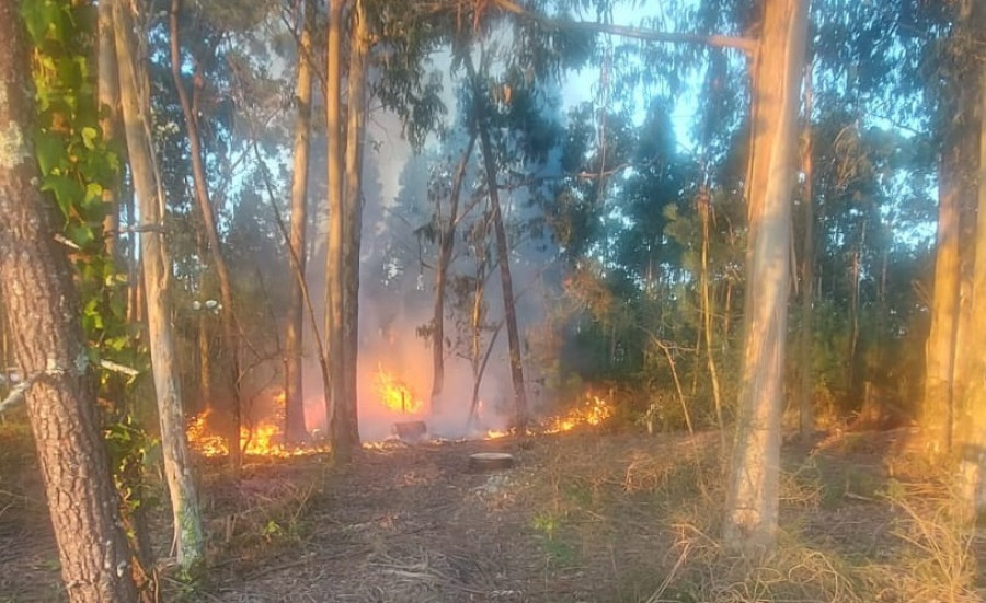 Moraña ya cuenta con una brigada forestal para prevenir incendios