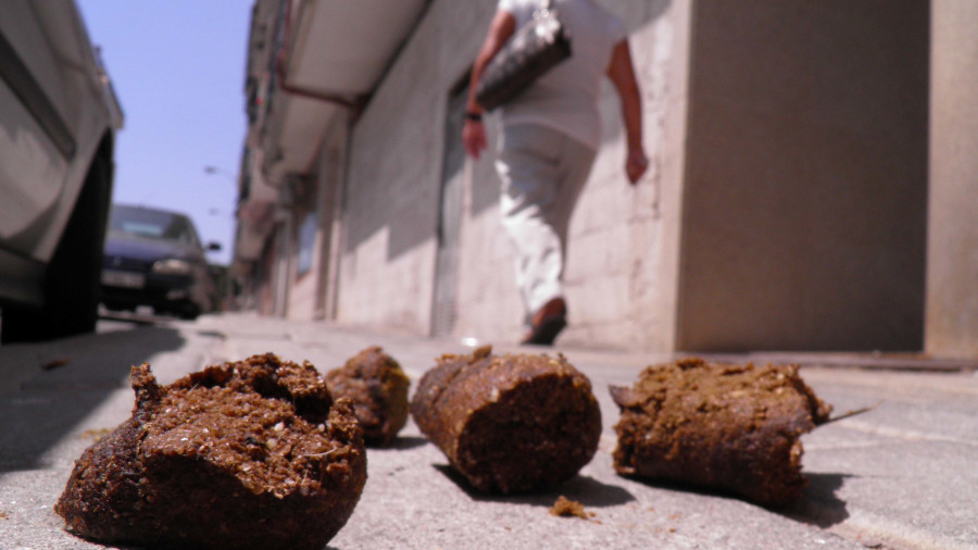 Inician en Ribeira una nueva campaña de vigilancia del depósito de excrementos de perros y otras mascotas