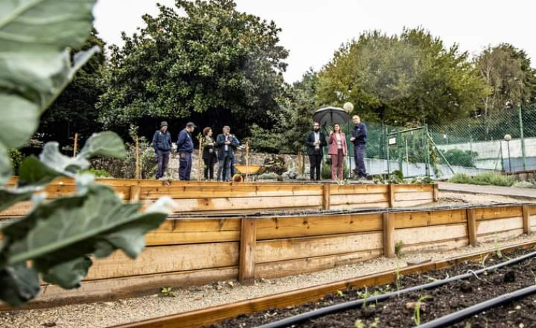 Los jardines del Pazo de Rianxiño se abrirán para el disfrute del público