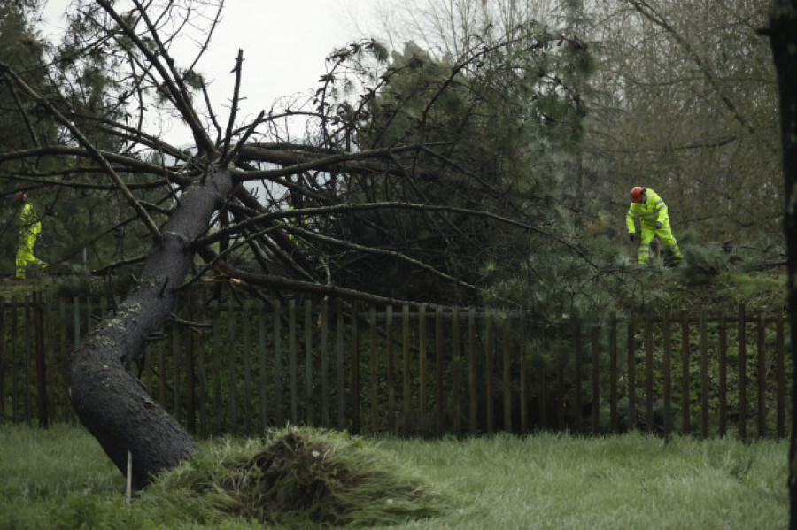 Galicia acumula más de 600 incidencias por el temporal