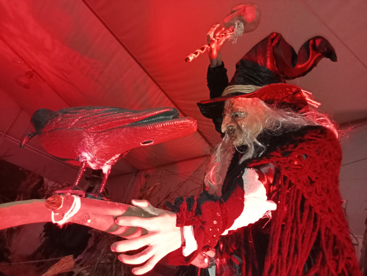 IMG20231029185816