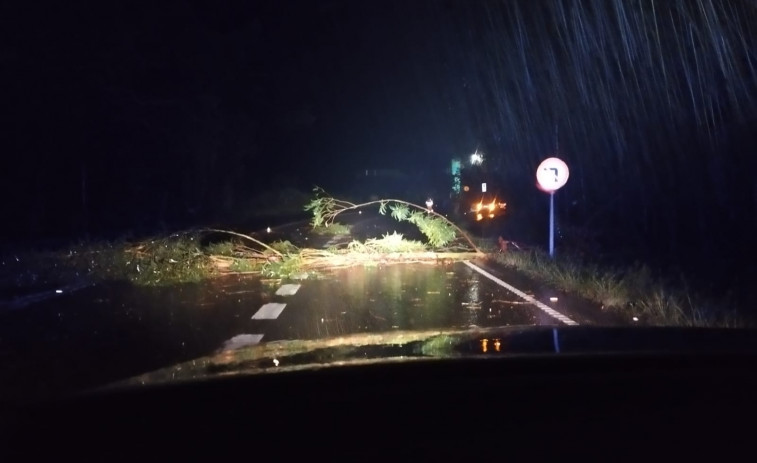 El temporal deja árboles caídos y preocupación por la crecida del río Bermaña en Caldas