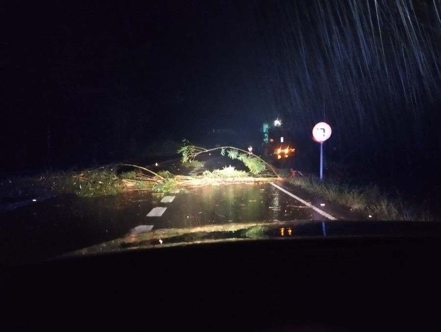 El temporal deja árboles caídos y preocupación por la crecida del río Bermaña en Caldas