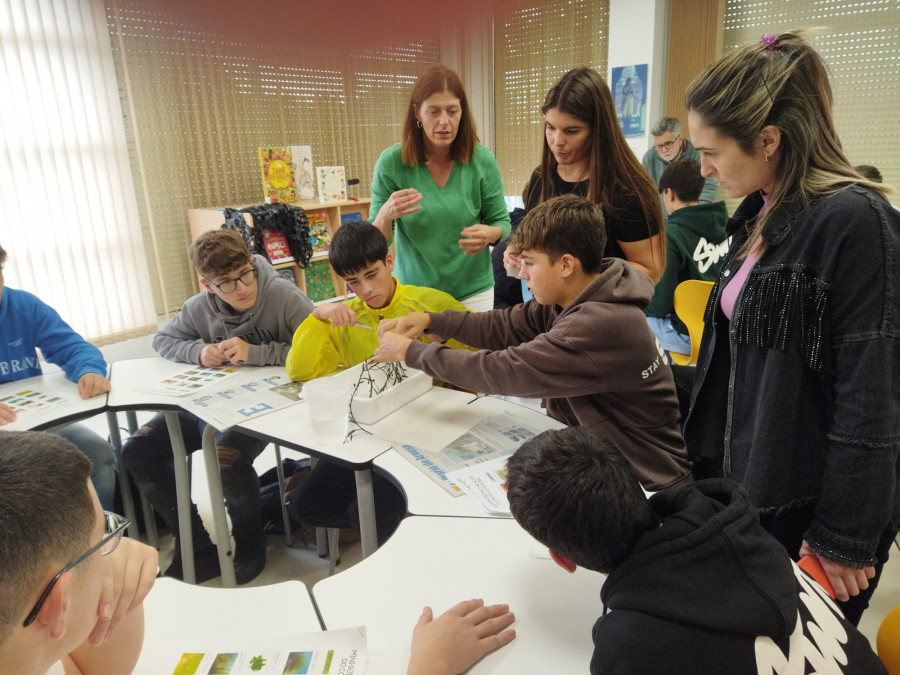 El Club de Ciencia del instituto A Cachada desarrolla un proyecto con la algas de Boiro