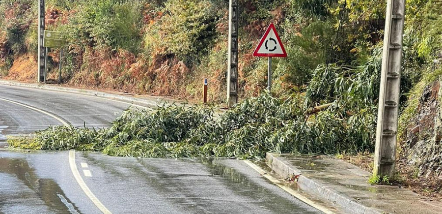La caída de un eucalipto bloqueó al tráfico el carril de la AC-305 de Boiro hacia A Pobra, en A Mercé