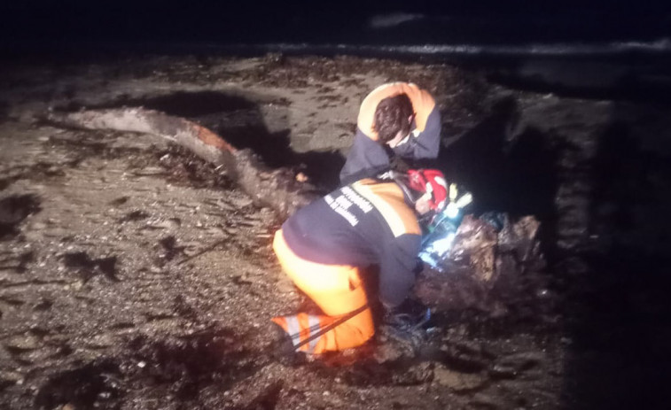 Retirados grandes árboles de playas de A Pobra para evitar que las mareas los arrastren y sean riesgo para la navegación