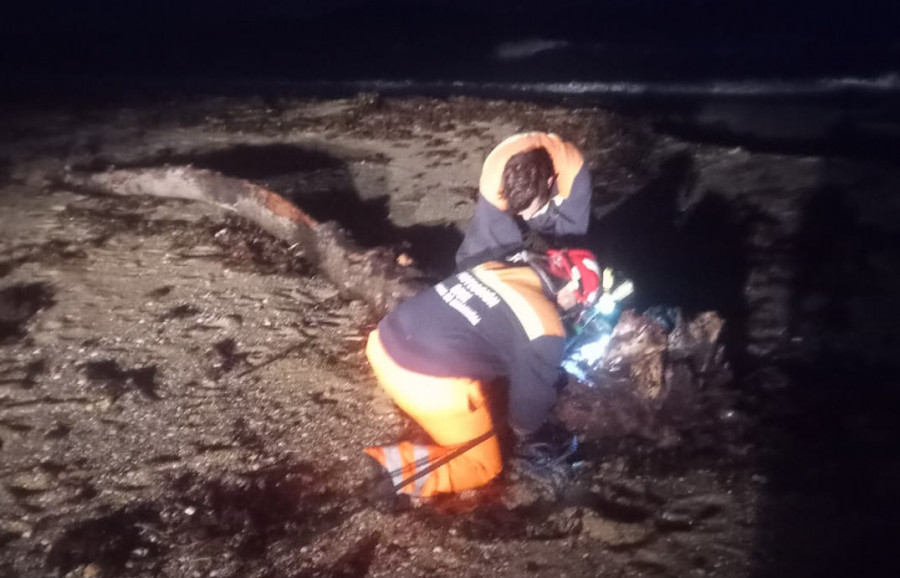 Retirados grandes árboles de playas de A Pobra para evitar que las mareas los arrastren y sean riesgo para la navegación