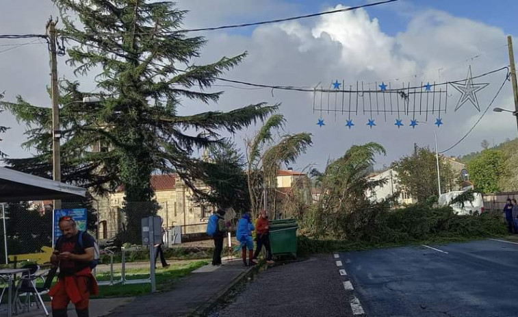 Cortada la N-550 a su paso por Caldas por la caída de un árbol en la carretera