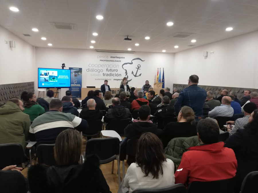 La preocupación de las cofradías: la bajada de la producción y los eólicos marinos