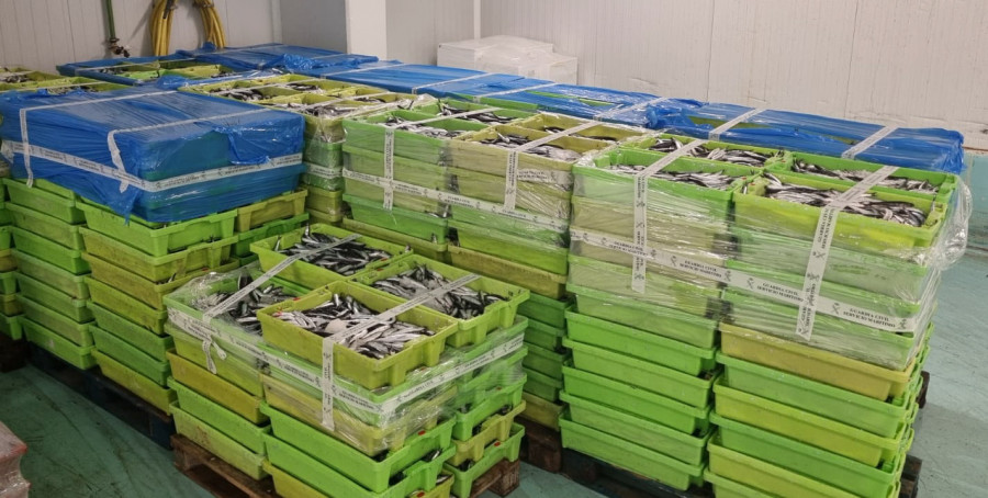 Decomisadas en Ribeira más de 5 toneladas de anchoa a dos cerqueros por exceso de carga