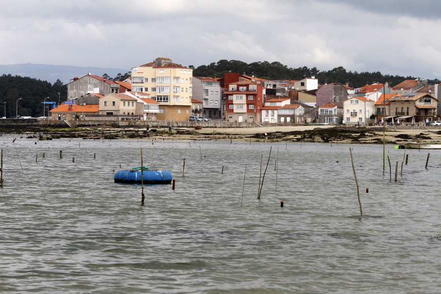 Achacan al vaciado de embalses la drástica caída de salinidad en Carril, que debilita el marisco