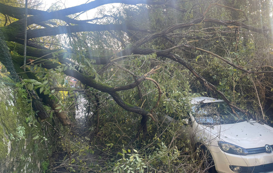 La caída de un árbol de una finca en Xogo da Bola daña un coche y obliga a cortar el vial por seguridad