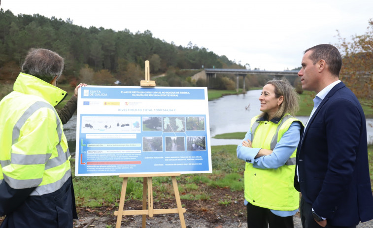 La Xunta plantará 7.000 árboles en los márgenes de los ríos Umia y Gallo para reducir el riesgo de inundaciones