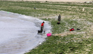 ¿Hay otra forma de retirar las algas de las playas para el marisqueo?