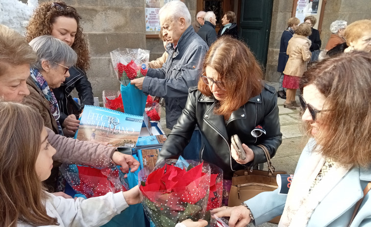 Las flores de Pascua que vende Manos Unidas Ribeira para financiar proyectos en el Tercer Mundo tienen gran demanda