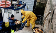 Arranca la vieira en Arousa: el mal tiempo resta barcos y no se completa el tope