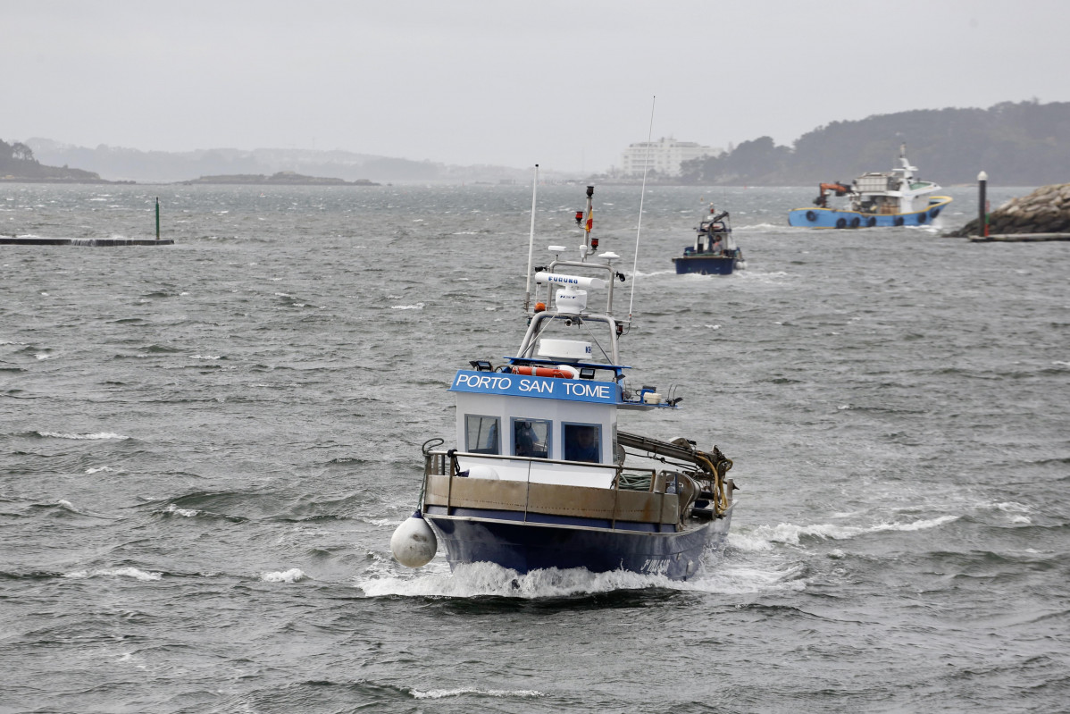 Campaña vieira ría de arousa barcos