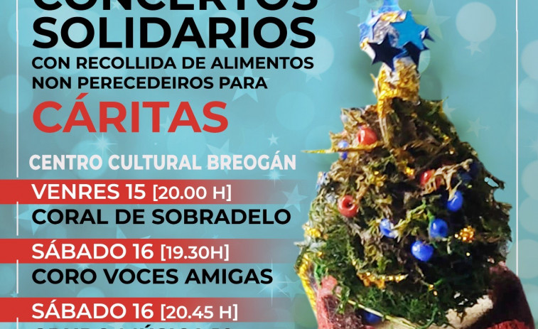 O Piñeiriño organiza un fin de semana de conciertos solidarios