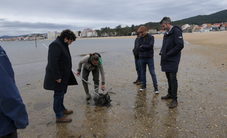 Las mariscadoras de Carril piden a Varela que actúe en A Tripeira tras el río de lodo