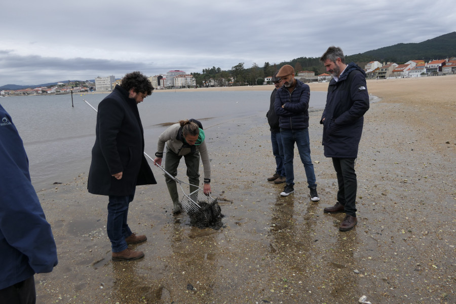 Las mariscadoras de Carril piden a Varela que actúe en A Tripeira tras el río de lodo