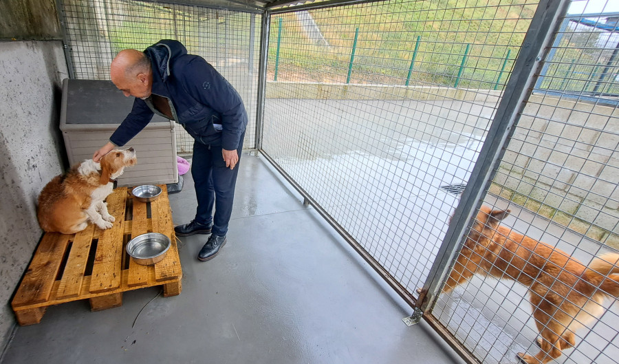 A Pobra destinó unos 25.000 euros a acondicionar su centro de acogida de animales abandonados