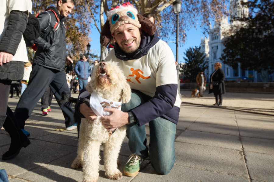 La Sanperrestre recorre un año más el centro de Madrid