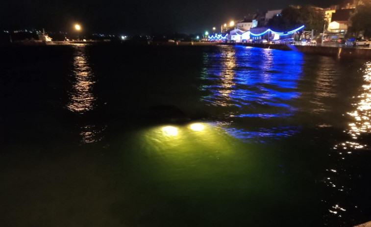 Un joven rescata sano y salvo a un conductor que se cayó al agua con su coche en el muelle de Rianxo