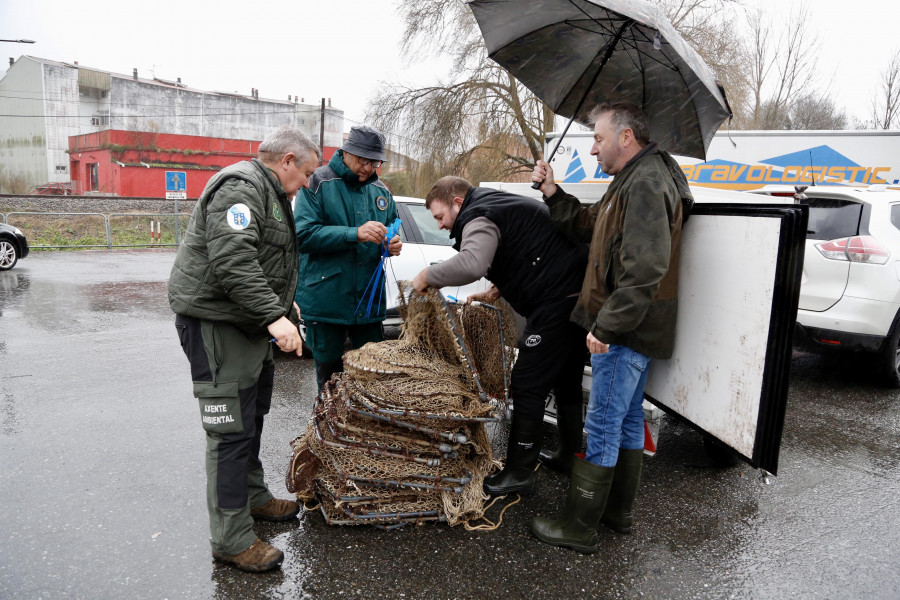 El temporal retrasa el inicio de la pesca de lamprea en el río Ulla