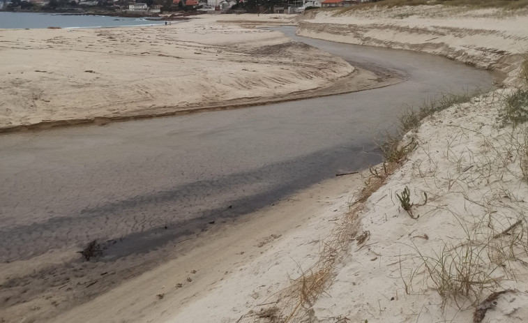 El mal tiempo y la maleza vuelven a afectar el cauce del río Dorrón en la playa de Areas