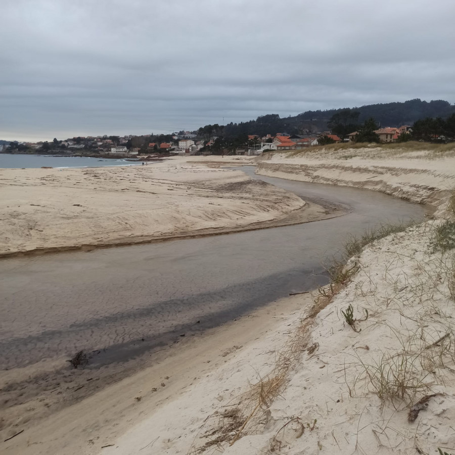 El mal tiempo y la maleza vuelven a afectar el cauce del río Dorrón en la playa de Areas