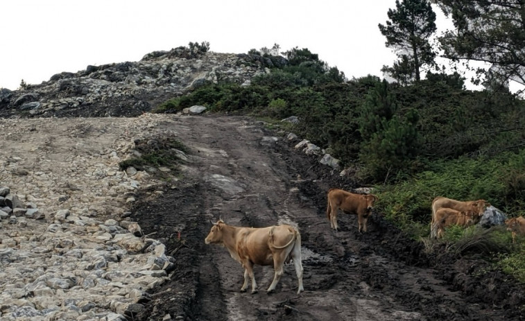 El caso del Monte Acibal conciencia a Pontevedra sobre la situación de los parques eólicos en Galicia