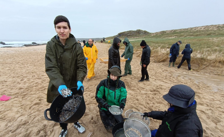 Un centenar de voluntarios participan en la limpieza de pellets en las playas de Ribeira