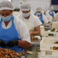Trabajadoras conserva salnes