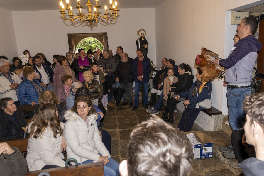 Los vecinos de Arra pujan por los mejores gallos de San Marzal