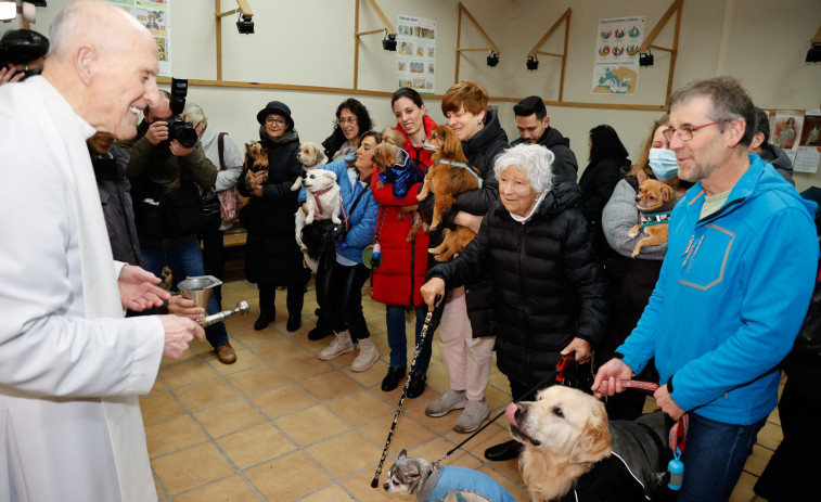 Vilagarcía bendice a sus mascotas por San Antón