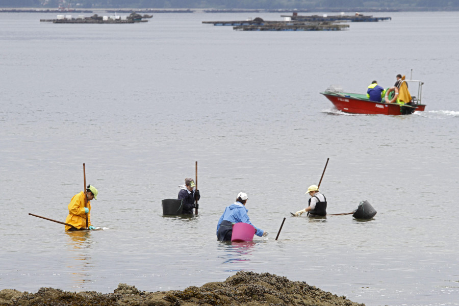 La caída y paros del marisqueo empujan al ERTE a la Cofradía de Vilanova