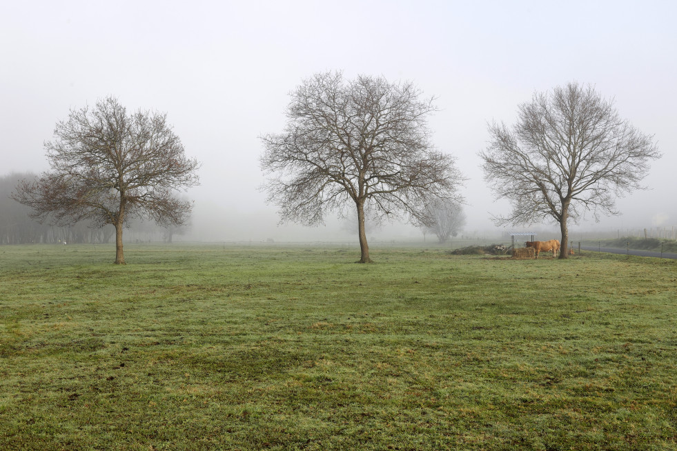 GSalgado niebla02