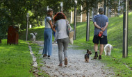 Vilagarcía tiene un perro por cada cuatro vecinos y Arousa suma más de 62.500