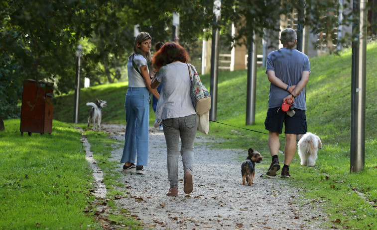 Vilagarcía tiene un perro por cada cuatro vecinos y Arousa suma más de 62.500