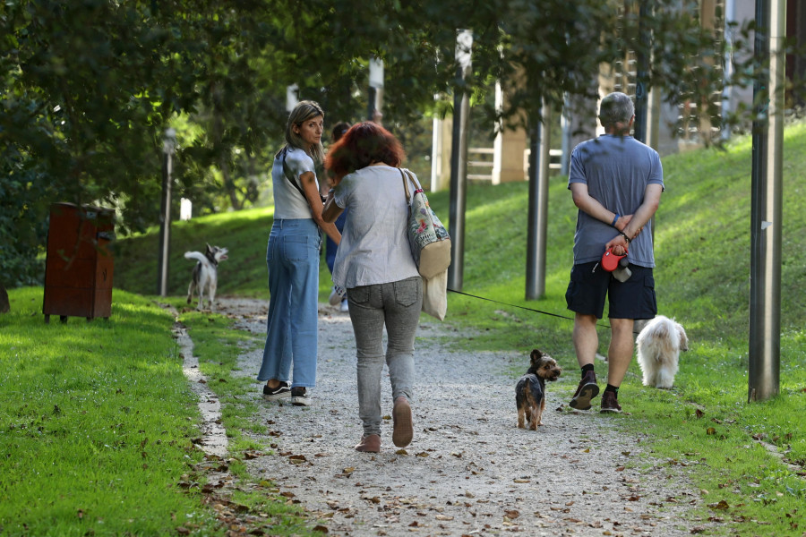 Vilagarcía tiene un perro por cada cuatro vecinos y Arousa suma más de 62.500