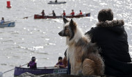 O Salnés avanza como destino petfriendly con una web específica con todo para este turismo